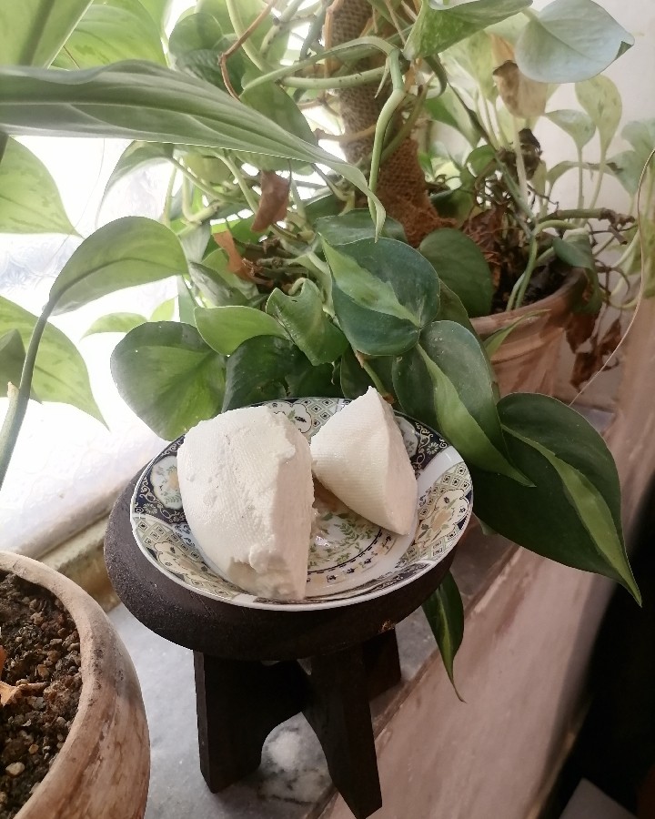 عکس پنیر خانگی