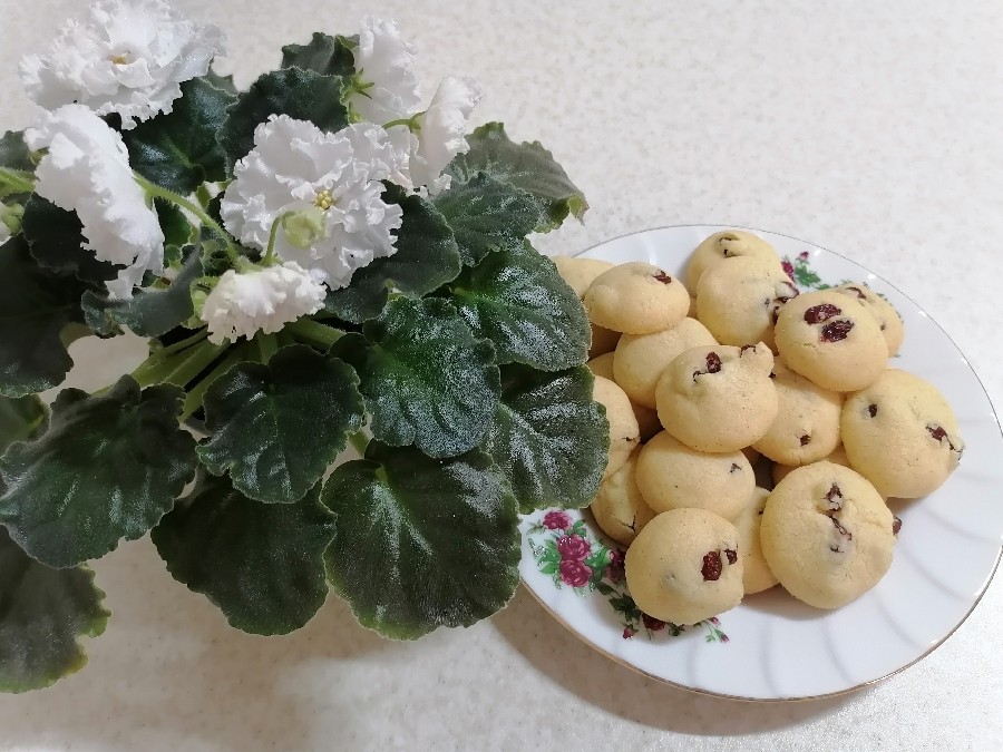 عکس شیرینی کشمشی