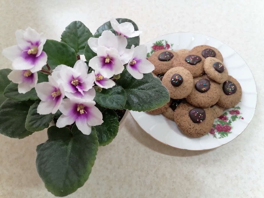 عکس کوکی نسکافه ای