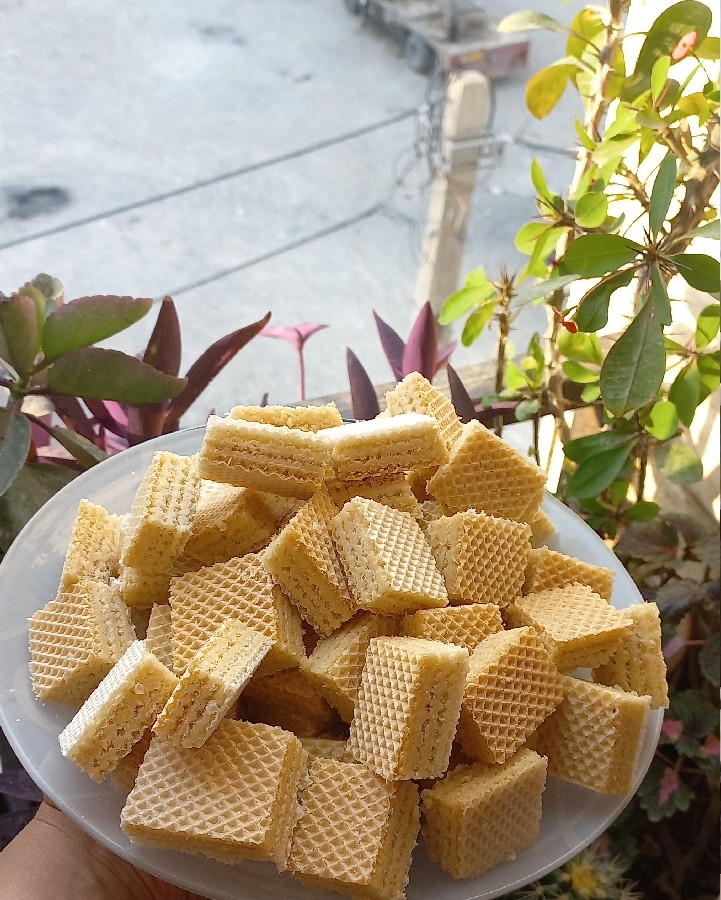 عکس ویفر خانگی ?