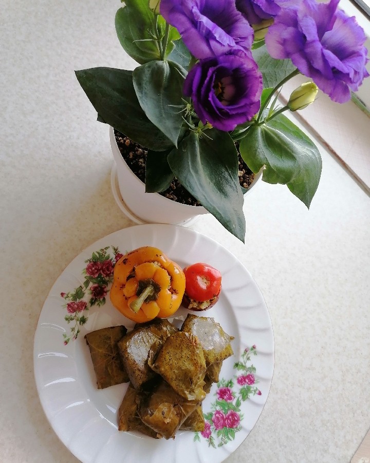 عکس دلمه