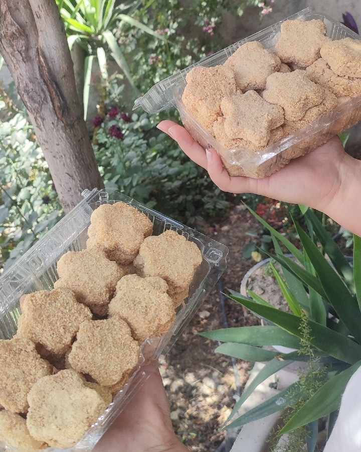 عکس ناگت مرغ سفارشی 