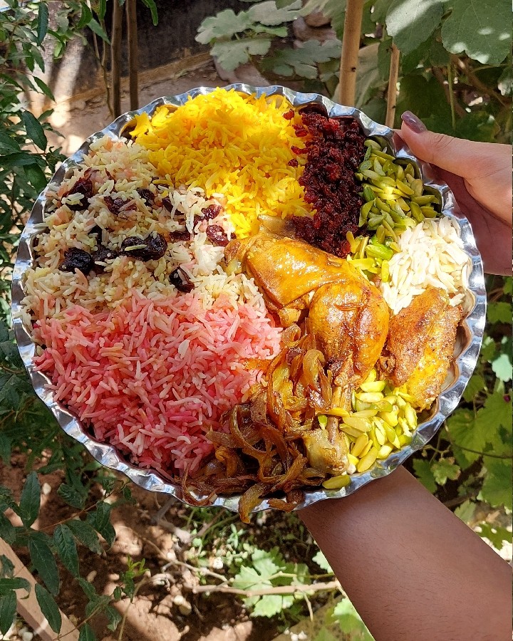 عکس آلبالو پلو
