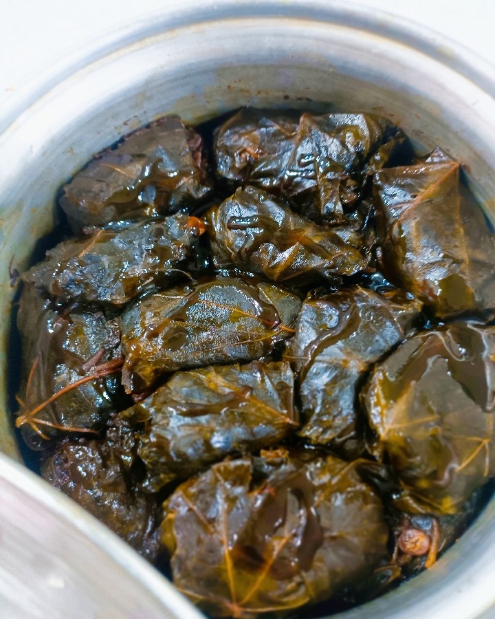 عکس دلمه ی ملس جنوبی 