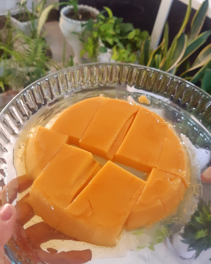 عکس روزمرگیـ