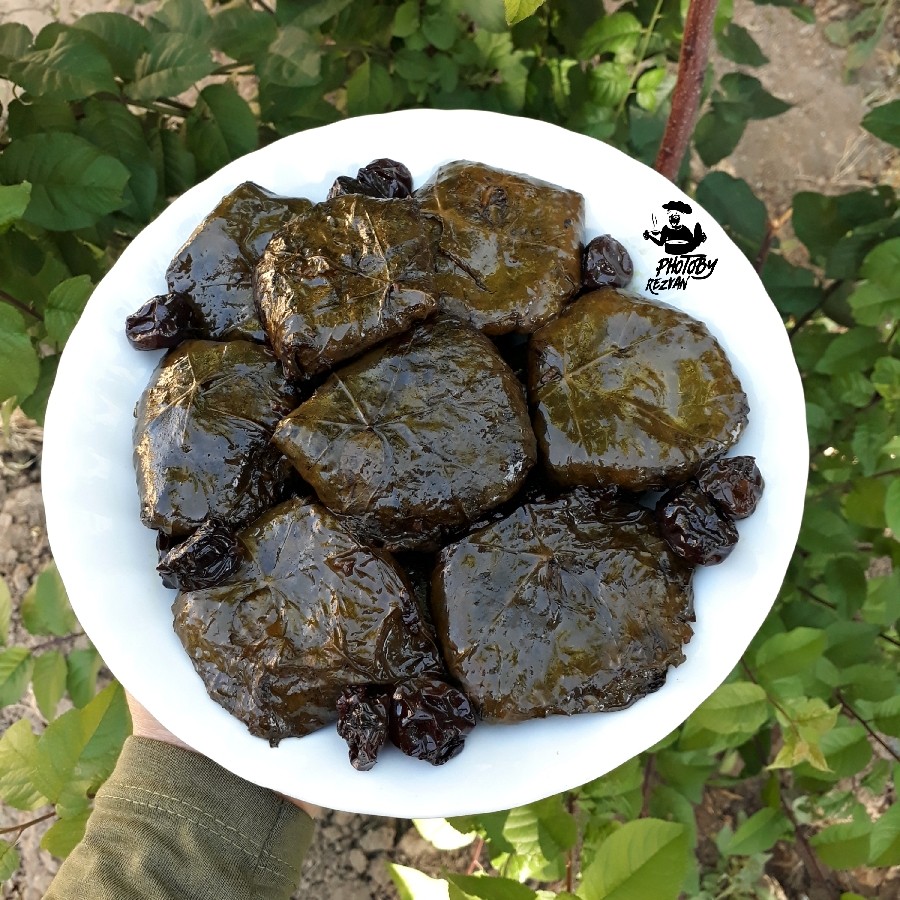 عکس ༴ دلـمـه༨