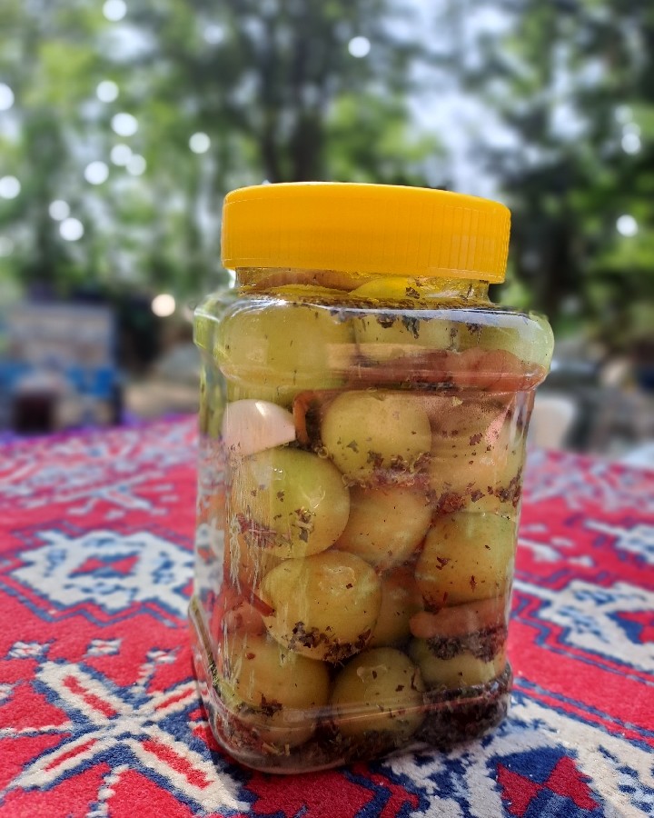 عکس ترشی آلوچه 