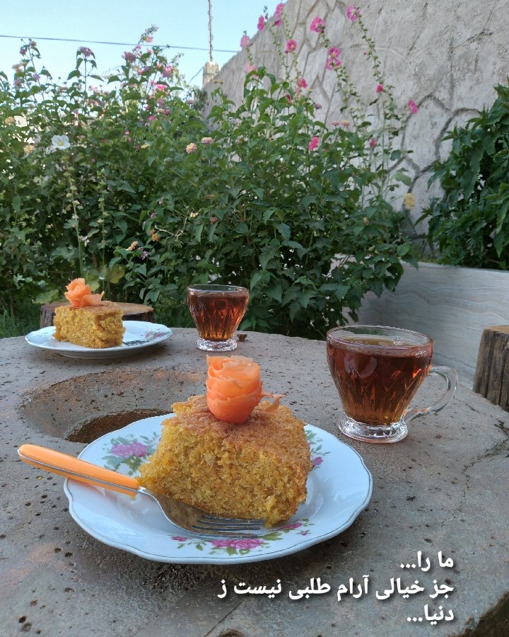 عکس ما را جز خیالی آرام طلبی نیست ز دنیا...??☕?☘