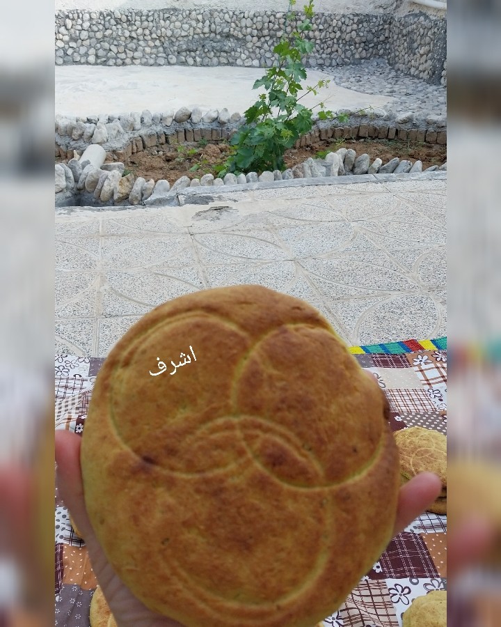 عکس روزمرگی