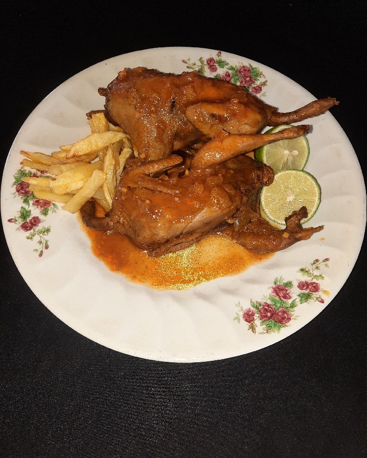 عکس بلدرچین شکم پر