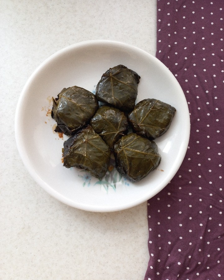 عکس دلمه برگ مو