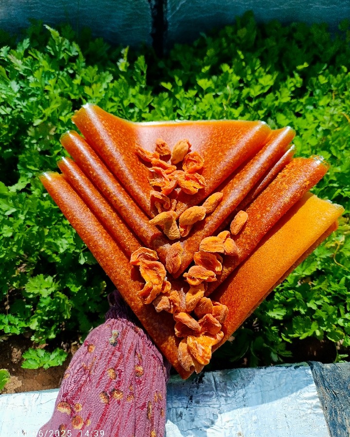 عکس لواشک زردآلو 