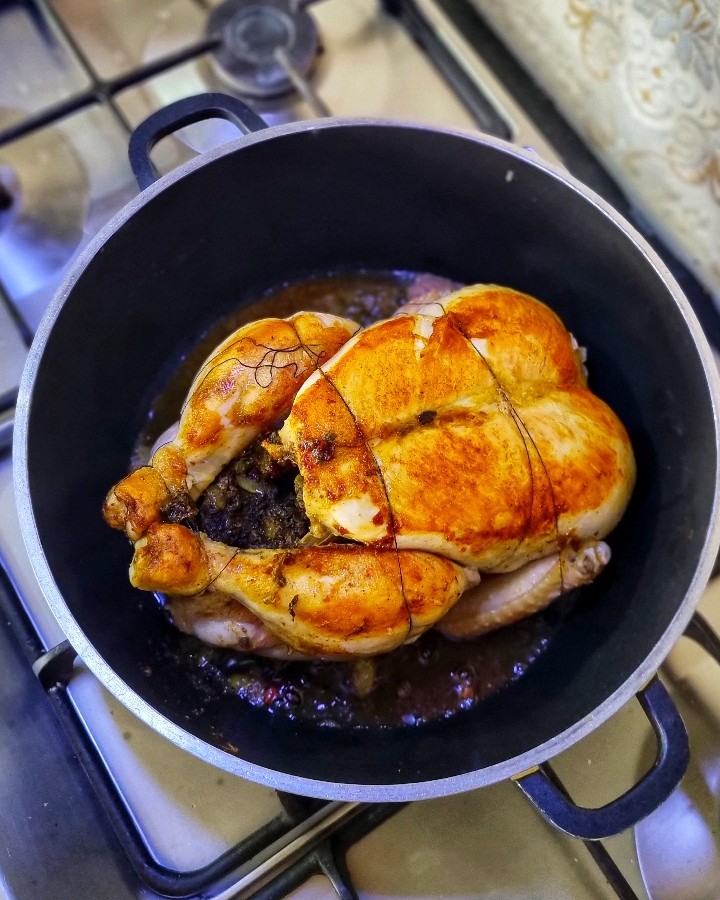 عکس مرغ شکم پر
