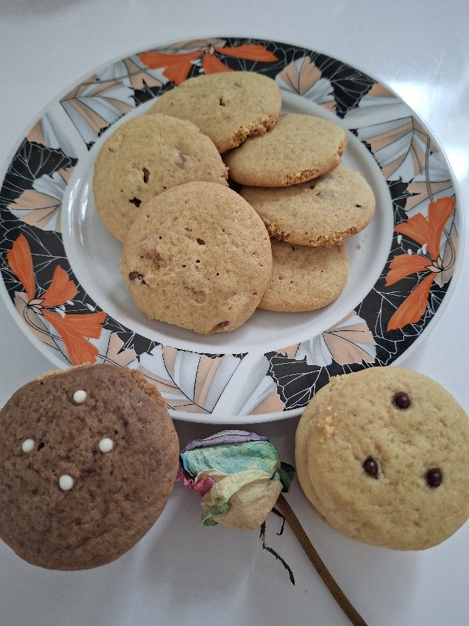 عکس کوکی گردوئی