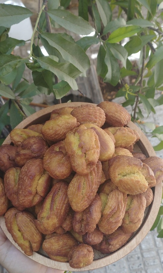 عکس برساق