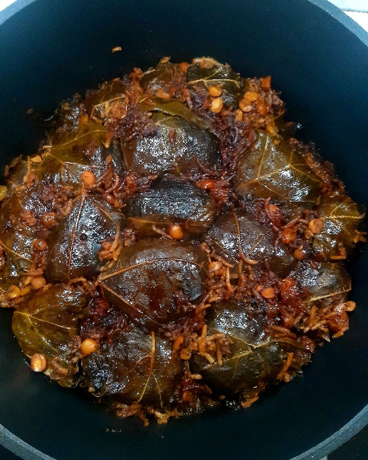 عکس دولمه