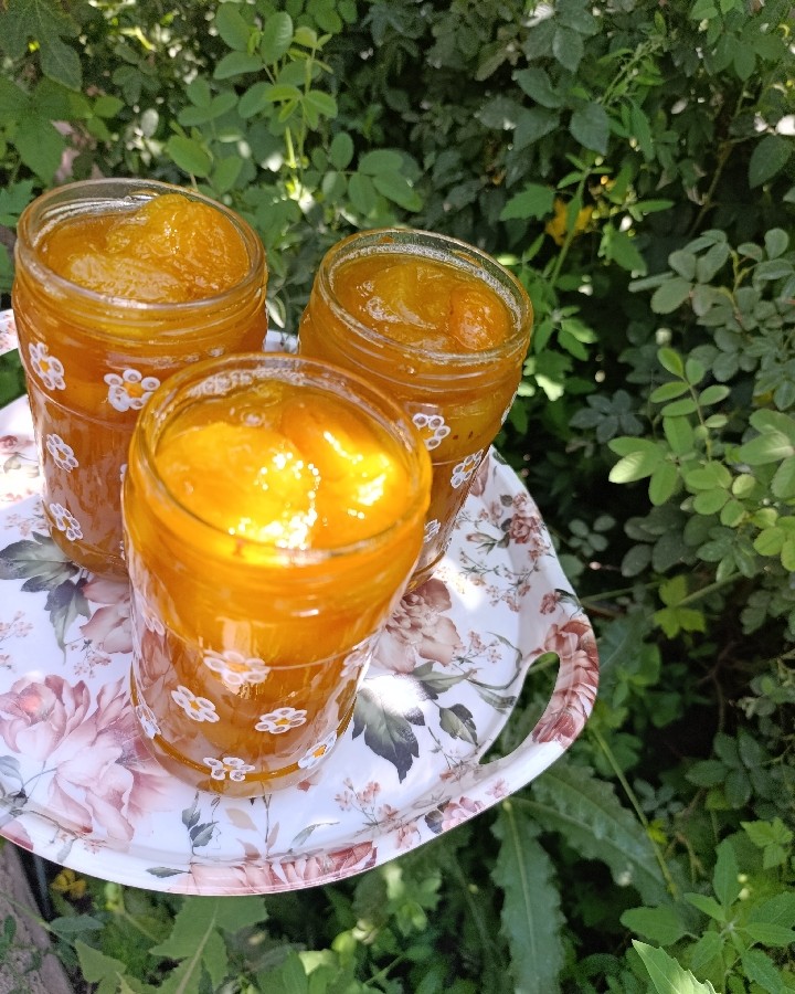 عکس مربای زردآلو