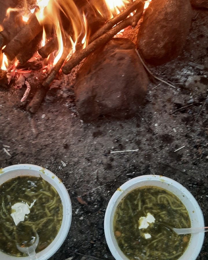 اش رشته اتیشی تو جنگل 