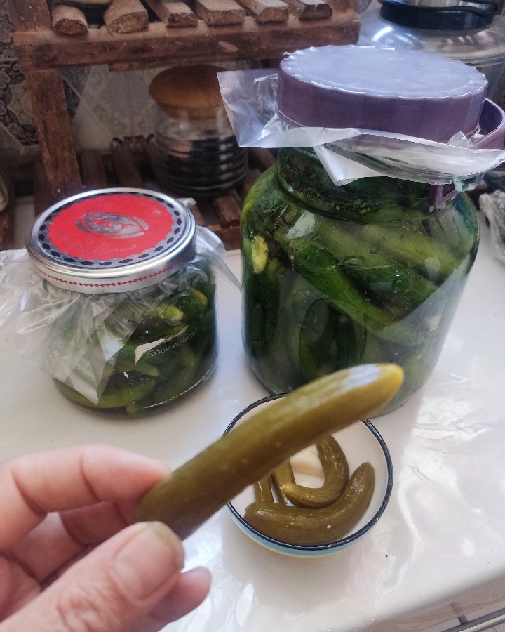 عکس خیارشور ترد