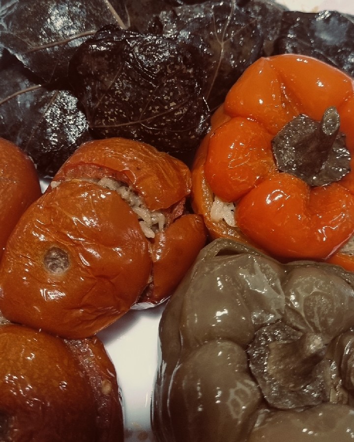 عکس دلمه