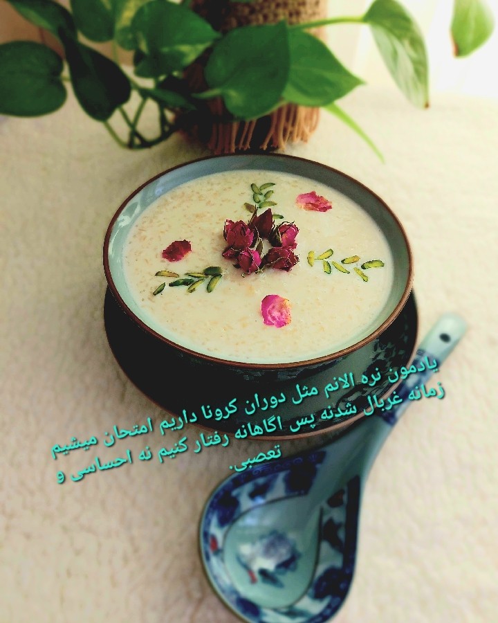 عکس شیربرنج