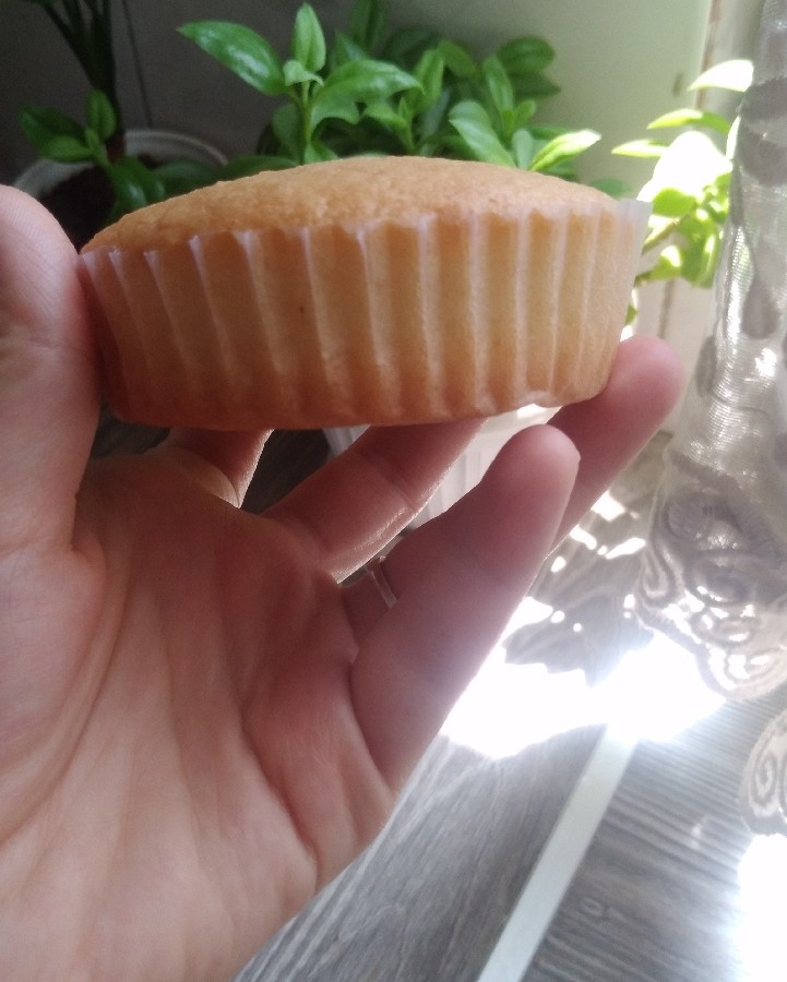 عکس کیک نارگیلی 