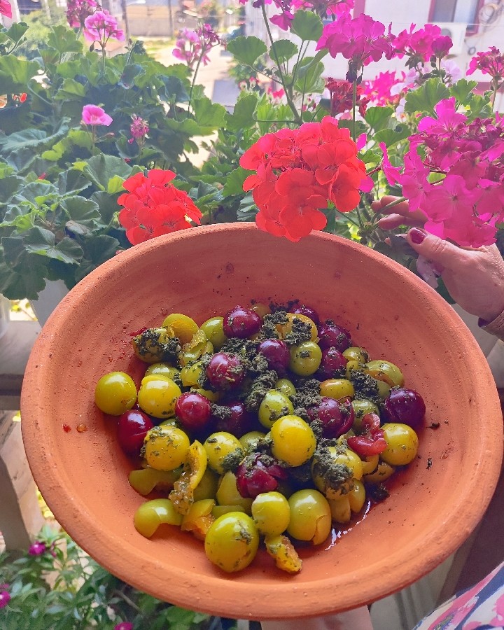 عکس هلی دشکن