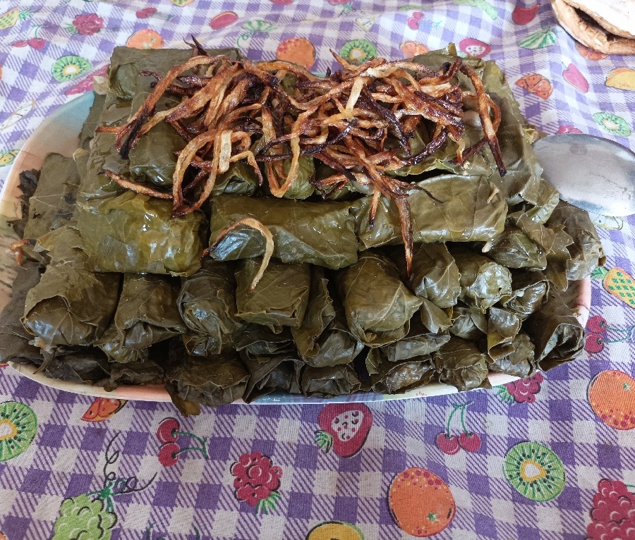 عکس دلمه برگ مو