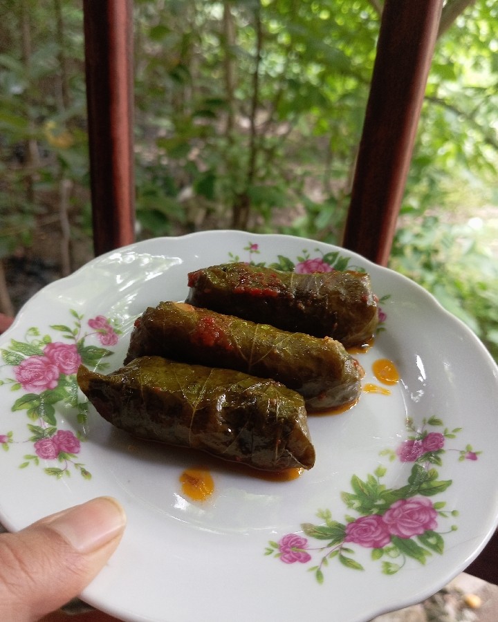 عکس دلمه برگ مو