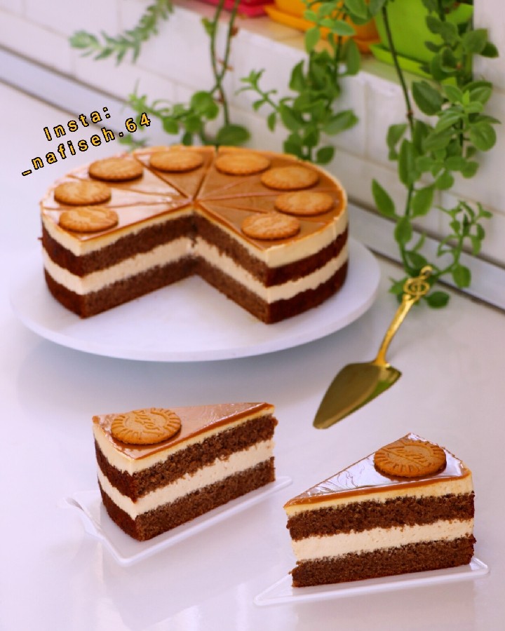 عکس کیک لوتوس با موس لوتوس