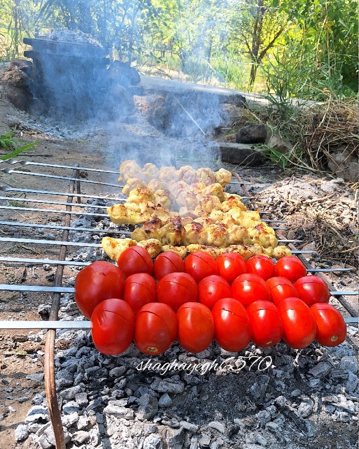 عکس جوجه کباب زعفرانی