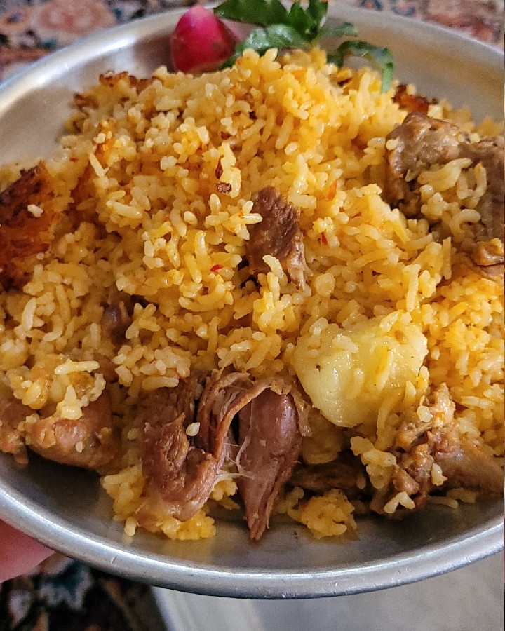 عکس . دمپختک 