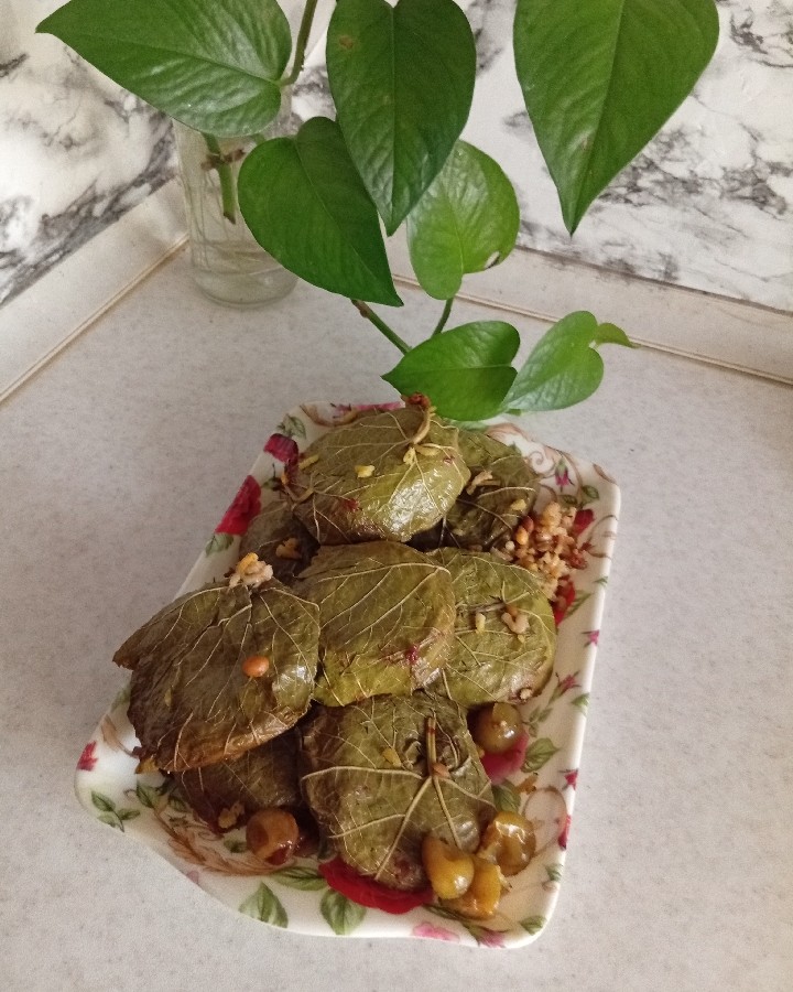 عکس دلمه برگ مو