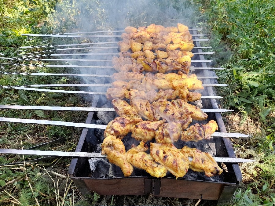 عکس دینِوَر زیبا...