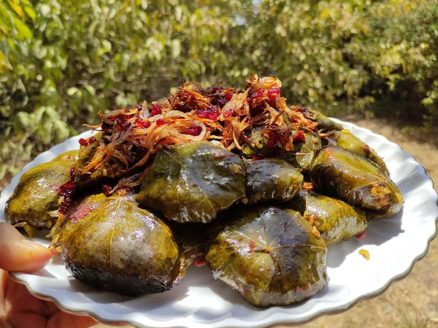عکس دلمه