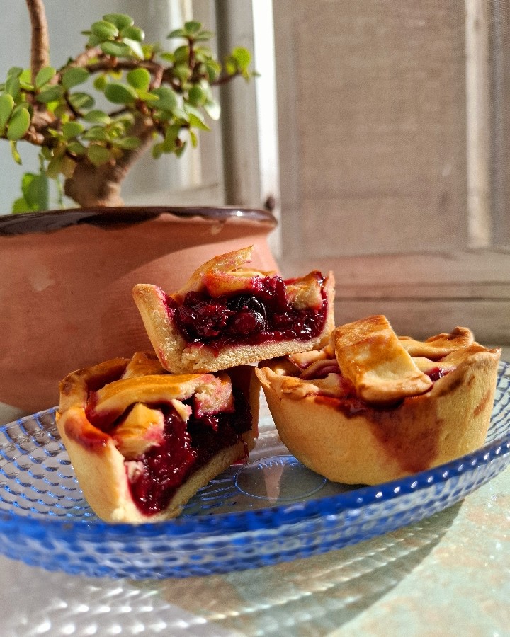 عکس پای آلبالو
