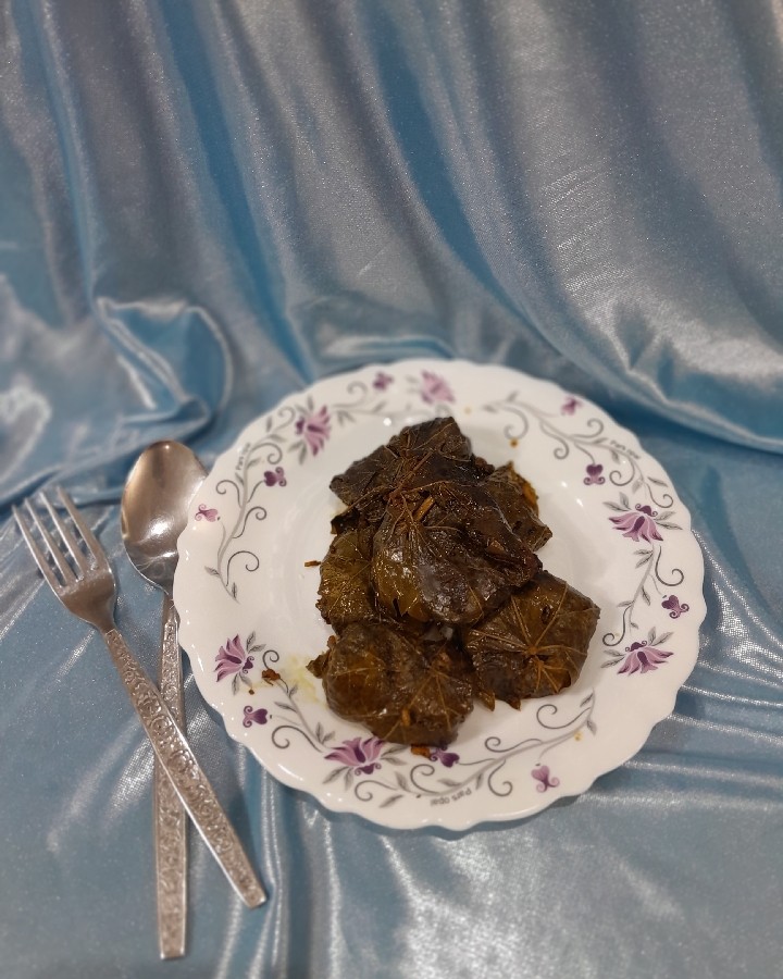 عکس دلمه