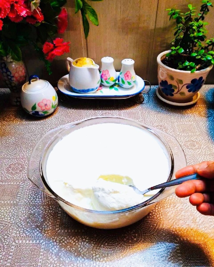 عکس ماست خانگی
