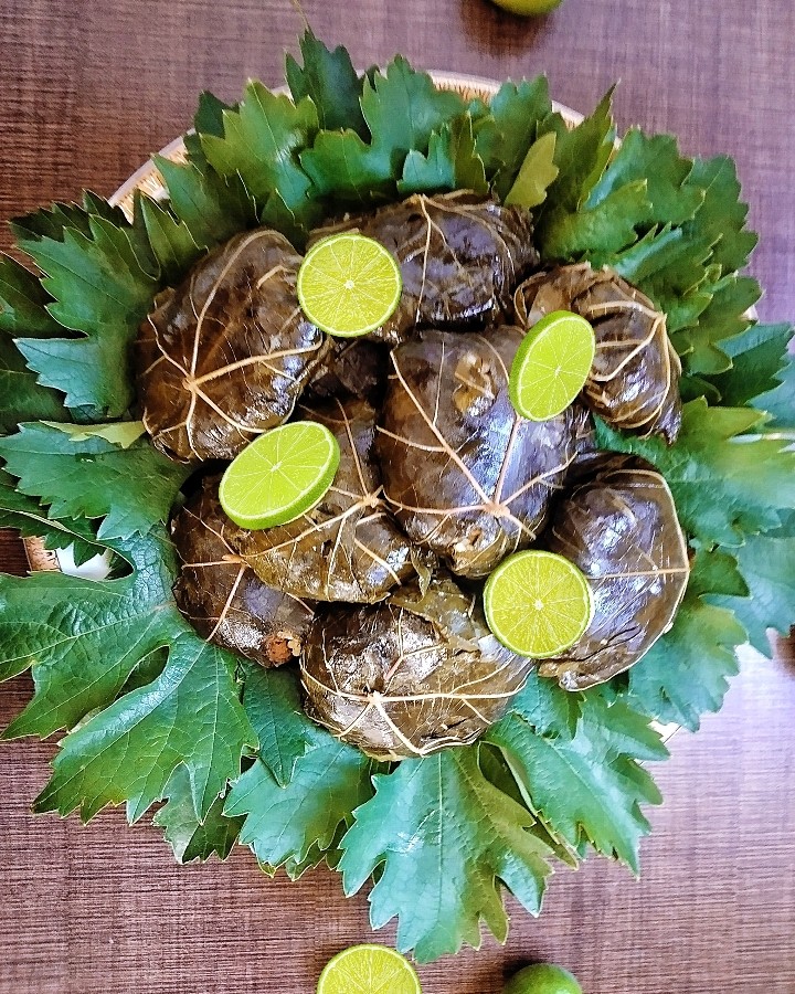 عکس دلمه برگ مو