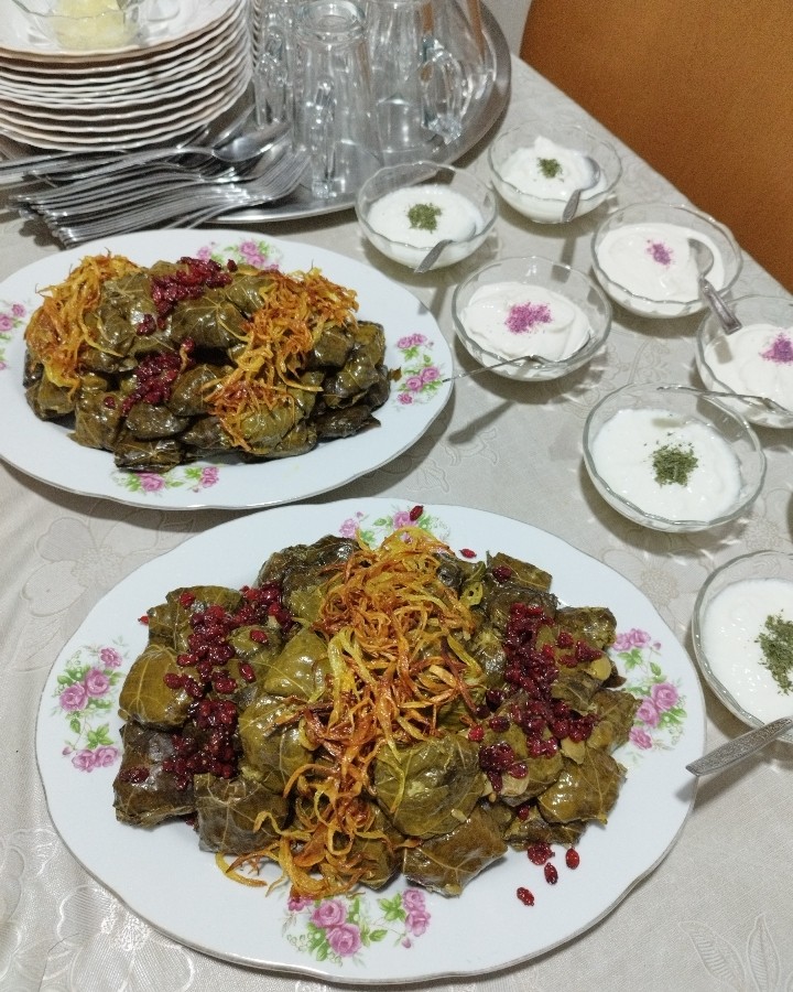 عکس دلمه برگ‌ مو