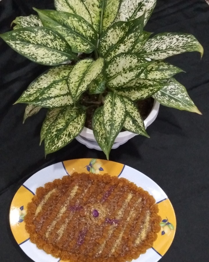 عکس سلام دوستای پاپیونی ام?? اگه برات زحمتی نیس به بقیه پست هام هم سری بزن??