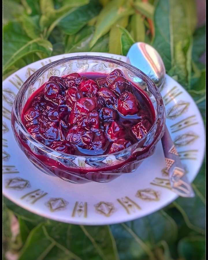 عکس ترشک آلبالو 