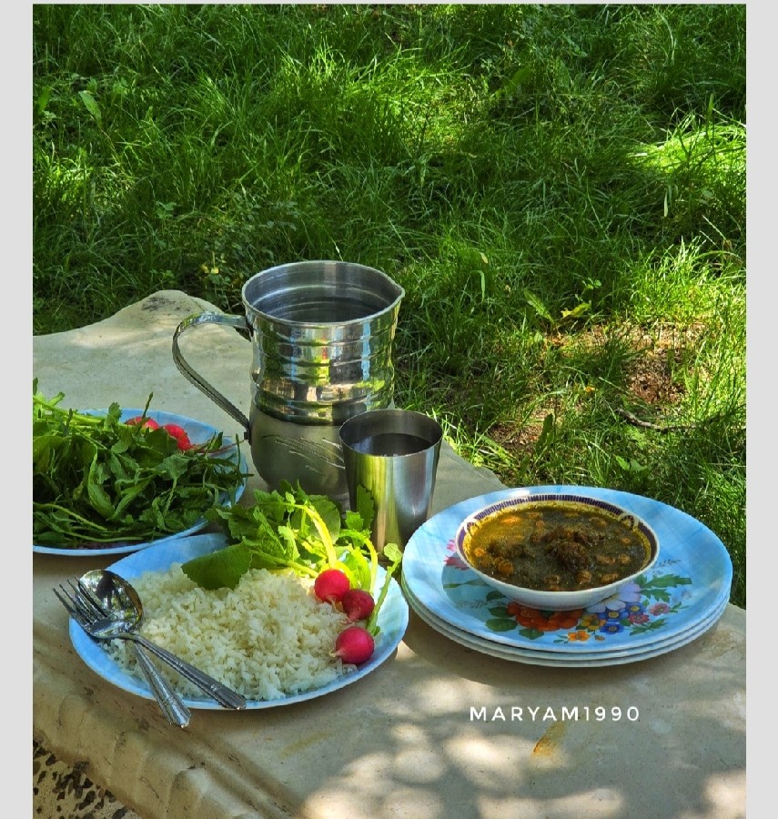 عکس قرمه سبزی 