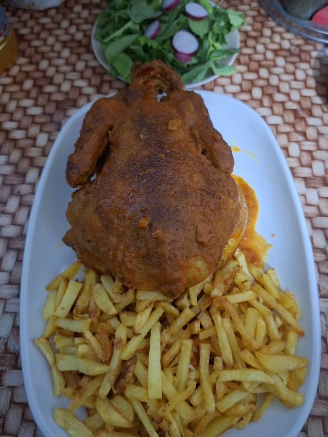 عکس مرغ شکم پر