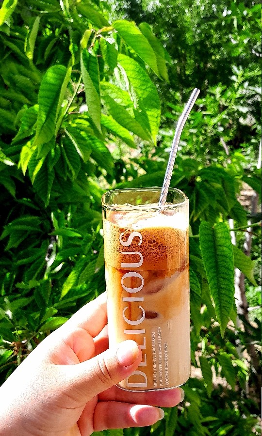 دالگونا،آیس کافی