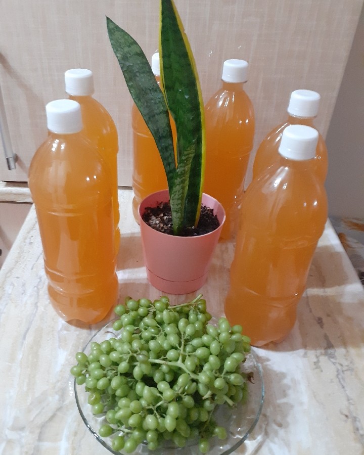 عکس آبغوره عسگری