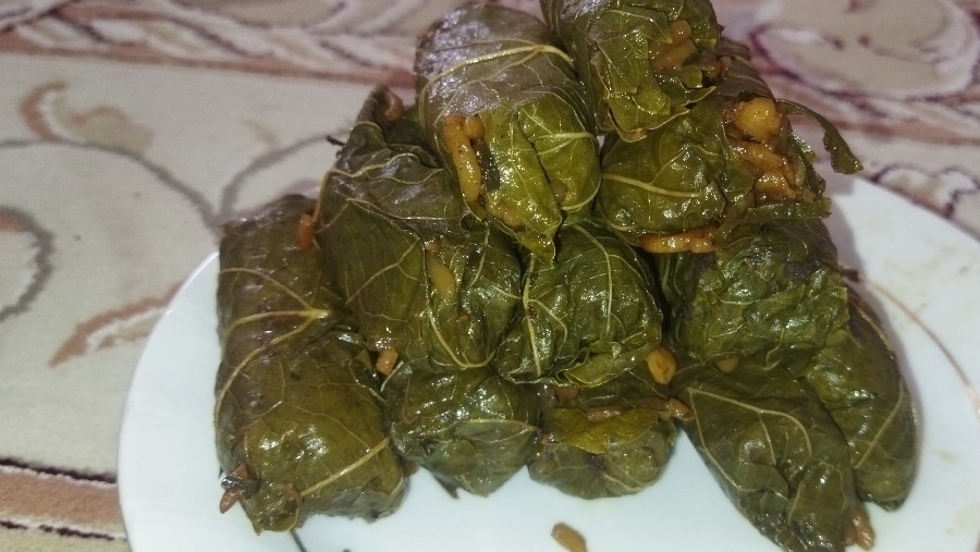 عکس دلمه 