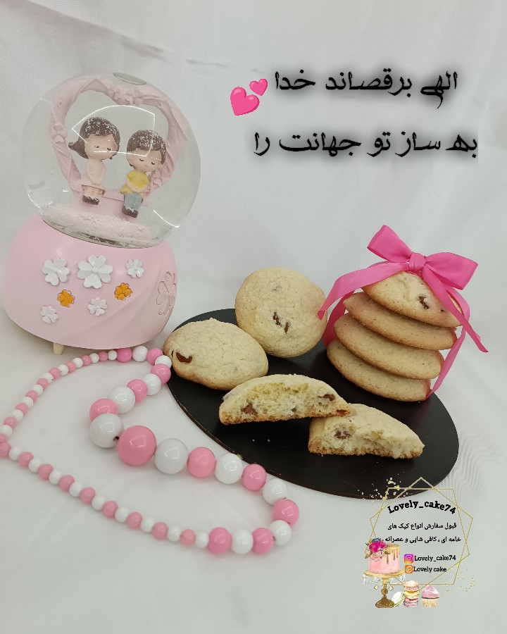 عکس کوکی کشمشی 