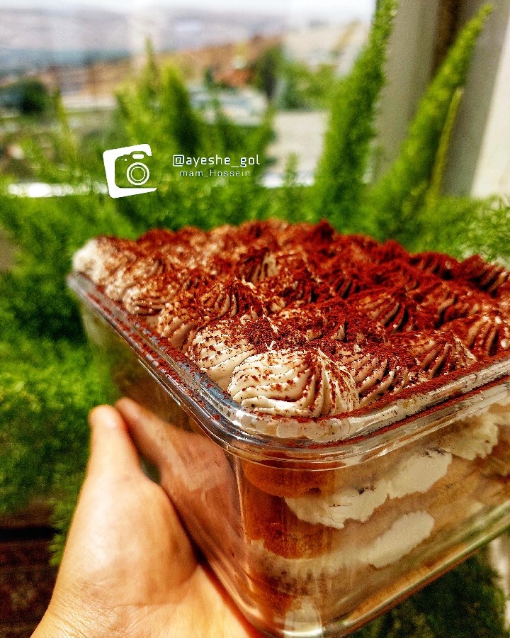 عکس تیرامیسو