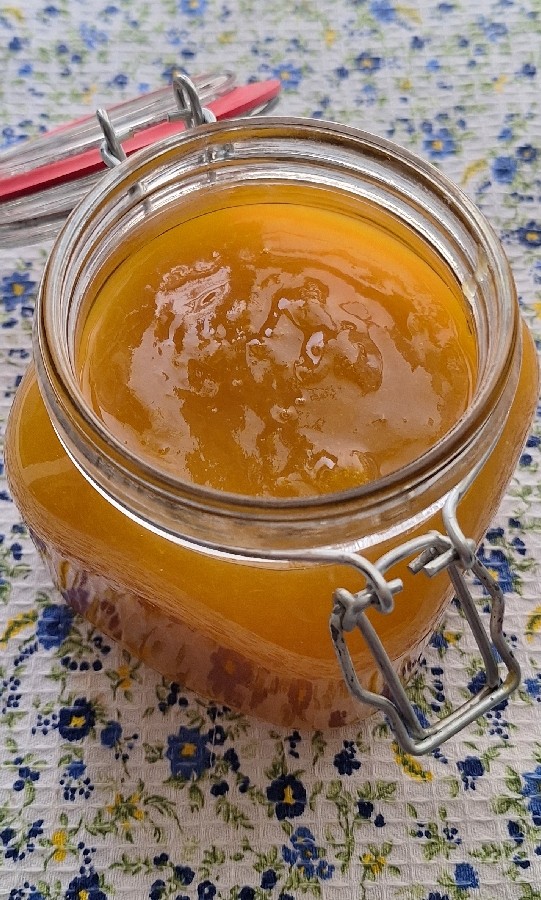 عکس مارمالاد زردآلو